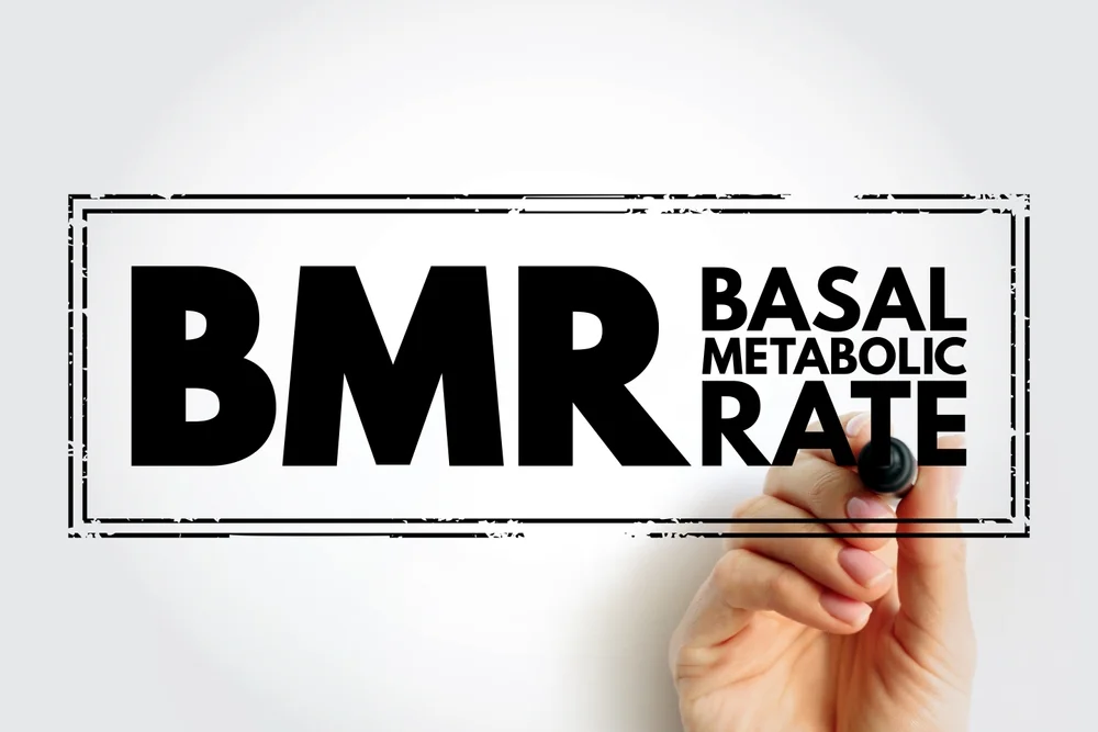 تاثیر متابولیسم پایه (BMR)